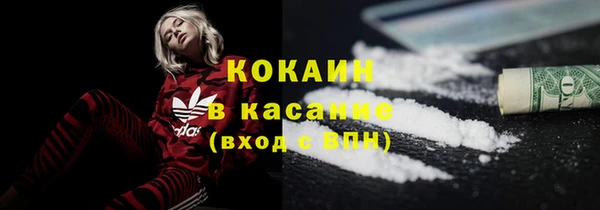 дживик Заводоуковск