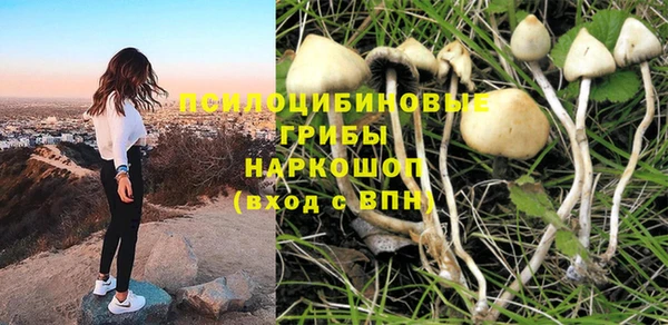 ешки Елизово